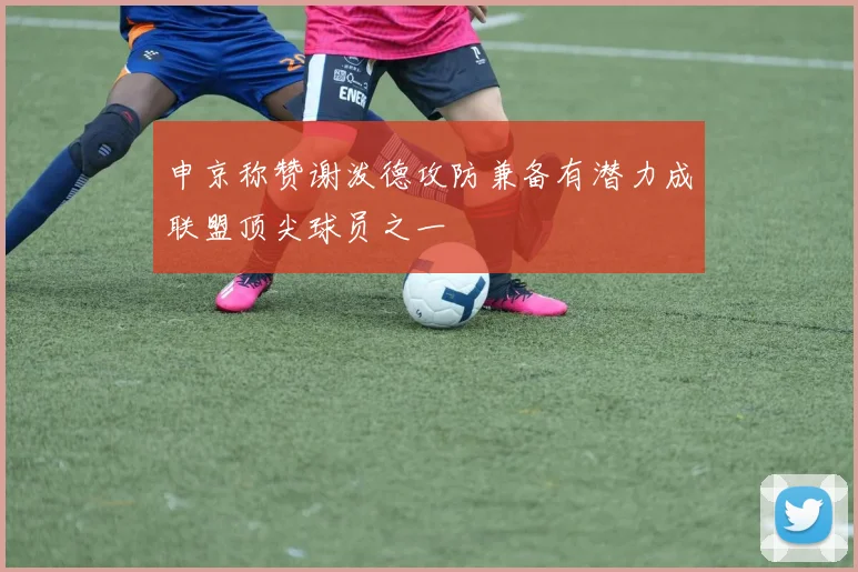 申京称赞谢泼德攻防兼备有潜力成联盟顶尖球员之一