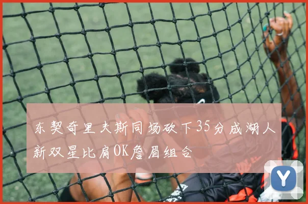东契奇里夫斯同场砍下35分成湖人新双星比肩OK詹眉组合