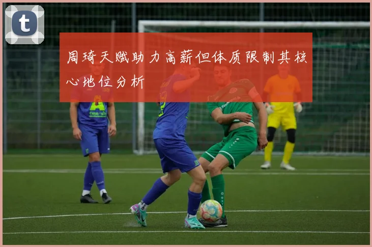 周琦天赋助力高薪但体质限制其核心地位分析