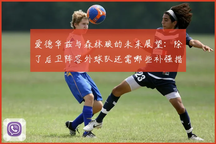 爱德华兹与森林狼的未来展望：除了后卫阵容外球队还需哪些补强措施