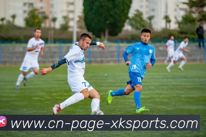 多媒体互动体验