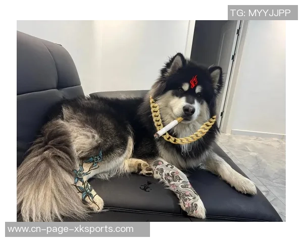 哈兰德回忆已故好友感慨生死之事令人不安的思考与恐惧